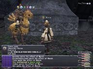 2008.10.07 Bhaflau_Thickets // 800x600 // 756.2KB