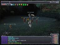 2009.03.25 Bhaflau_Thickets // 800x600 // 691.7KB