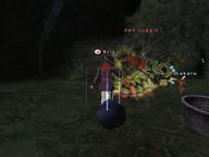 2009.07.03 Crawlers'_Nest // 800x600 // 531.7KB
