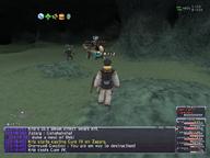 2008.12.09 Everbloom_Hollow // 800x600 // 599.3KB