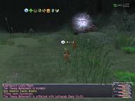 2009.08.21 Everbloom_Hollow // 800x600 // 641.6KB