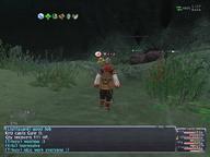 2009.08.21 Everbloom_Hollow // 800x600 // 585.0KB