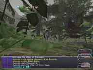 2009.02.15 Jugner_Forest // 800x600 // 732.6KB