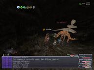 2009.03.20 Labyrinth_of_Onzozo // 800x600 // 498.0KB