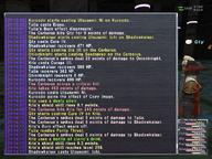 2008.09.03 Nyzul_Isle // 800x600 // 573.4KB