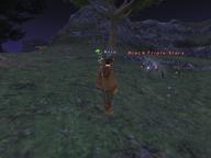 2008.08.26 Rolanberry_Fields // 800x600 // 617.5KB