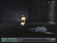 2009.07.22 Sea_Serpent_Grotto // 800x600 // 465.4KB