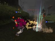 2008.10.29 The_Boyahda_Tree // 800x600 // 504.7KB