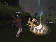 2008.10.29 The_Boyahda_Tree // 800x600 // 517.2KB