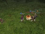 2008.10.31 The_Boyahda_Tree // 800x600 // 679.1KB