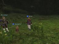 2008.10.31 The_Boyahda_Tree // 800x600 // 609.8KB