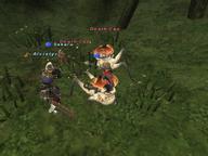 2008.10.31 The_Boyahda_Tree // 800x600 // 616.1KB