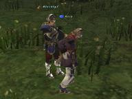 2008.10.31 The_Boyahda_Tree // 800x600 // 590.9KB