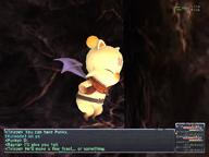 2009.07.31 Throne_Room // 800x600 // 381.0KB