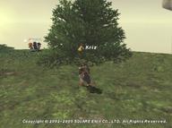 2005.12.19 Ru'Aun_Gardens // 512x382 // 49.9KB