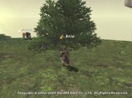 2005.12.19 Ru'Aun_Gardens // 512x382 // 49.8KB