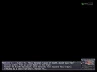 2009.06.07 Windurst_Waters_S // 800x600 // 86.1KB
